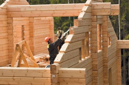 Строительство и ремонт домов